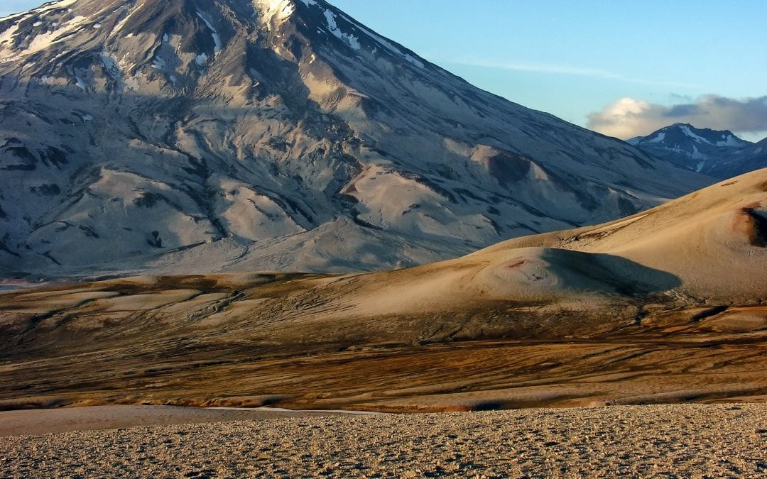 What Are You Doing With Your Freedom?