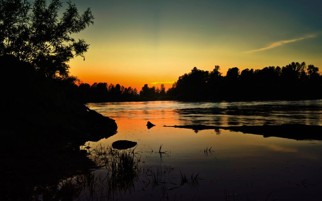 10 Interesting Things About the Bible