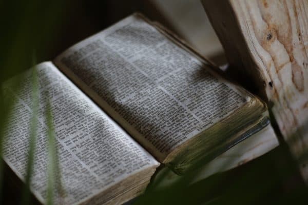 Three Thoughts on the Importance of Bible Study for Christian Development