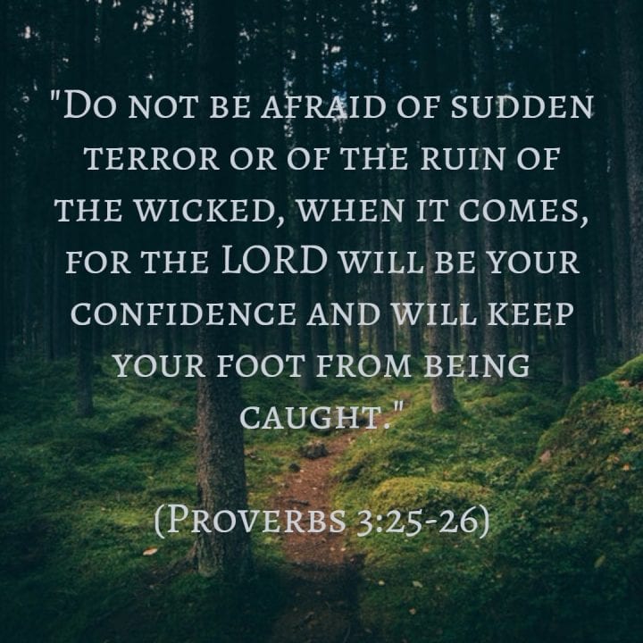 Do not Fear - Proverbs 3.25-26