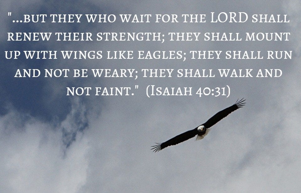 Isaiah 40.31
