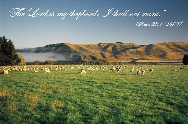 Psalm 23-1