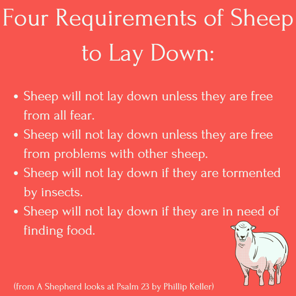 The Preacher's Pen on Psalm 23