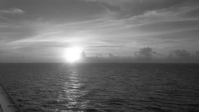 A Black and White Photo Challenge Day #6