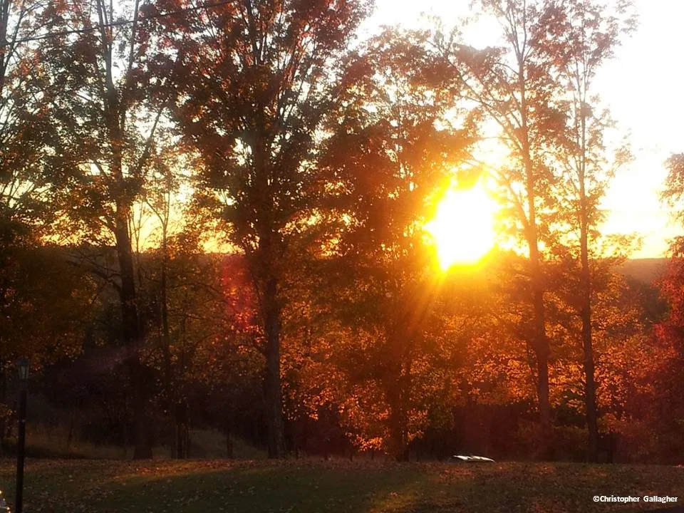 What have your actions displayed today?