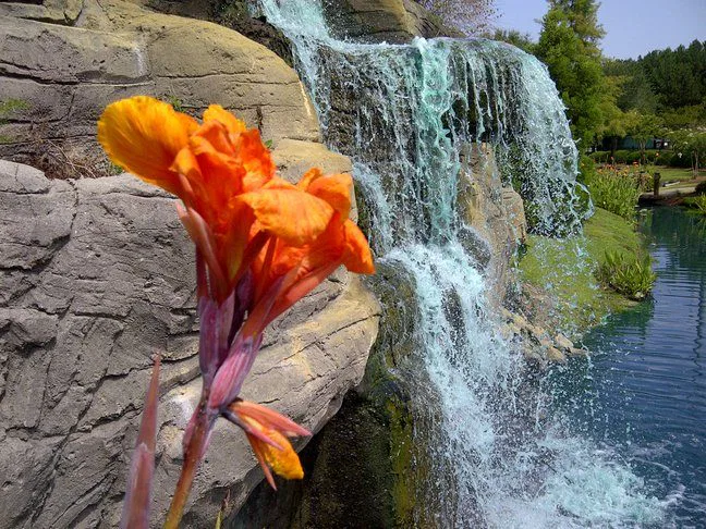 Nine Promises to Keep You Motivated