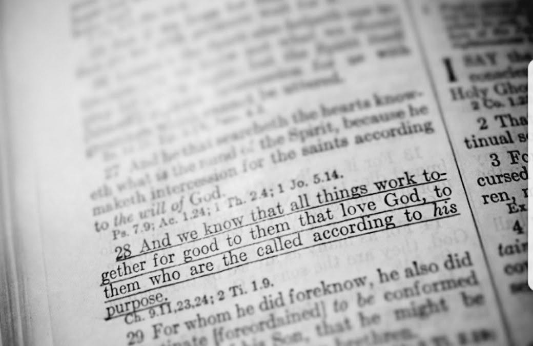 A B&W Photo Challenge – Day #2 – The Book
