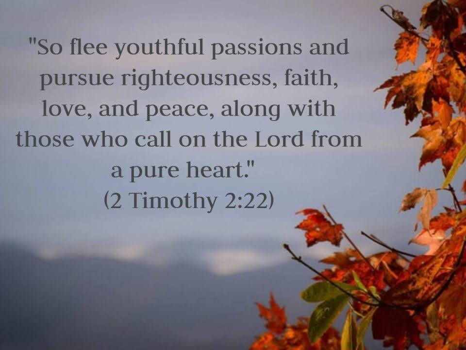 2 Timothy 2.22