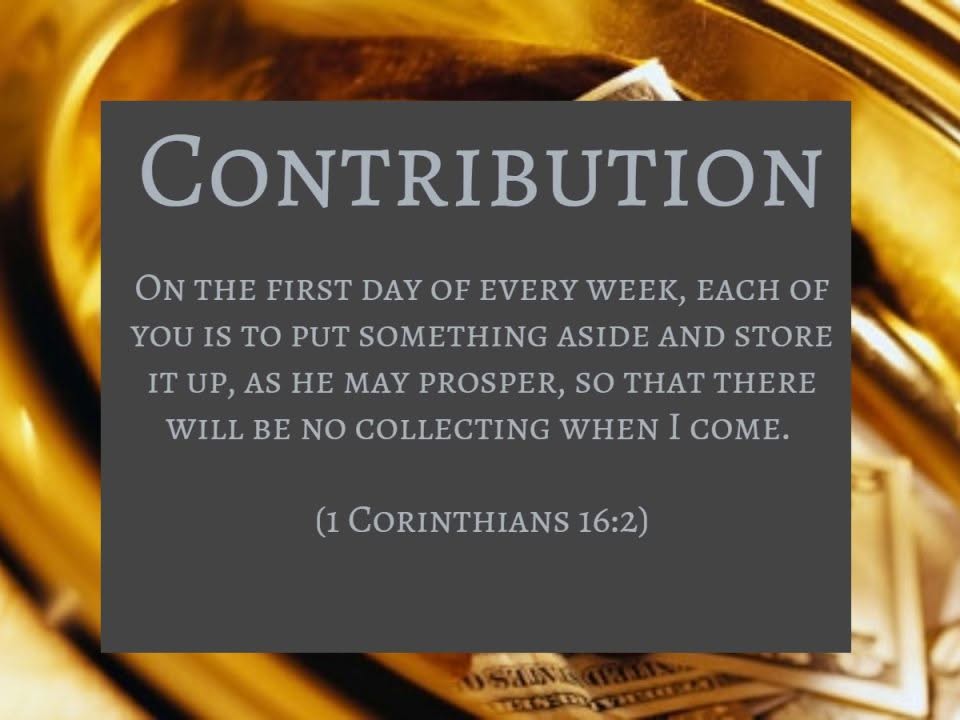 Contribution 01 2019