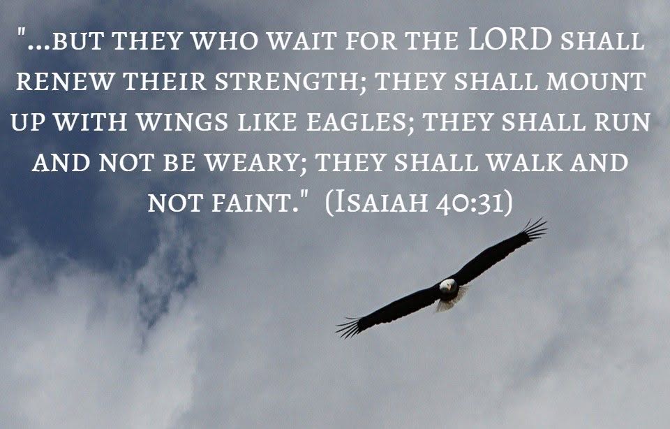 Isaiah 40.31